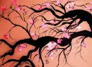 Cherry BG