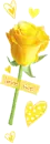 yellow rose