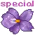 special