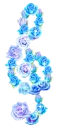 blue roses