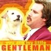 Your My Little Gentleman