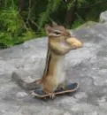 Sk8ing