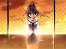 anime girl at sunset