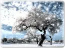 winter falling snow