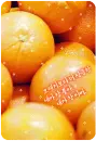 yummy orange