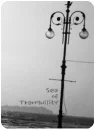 sea of tranquility