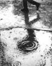 rainy day