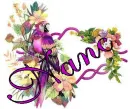 nanc