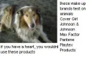 anti animal testing