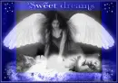 sweet dreams 
