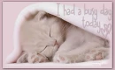 i had a busy day today 