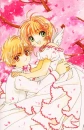 cardcaptor sakura