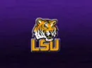 LSU tigers