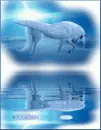 Fantasy - Pegasus