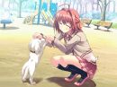 playing with puppy