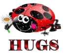 Hugs - Lady Bug
