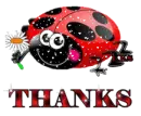 Thank You Lady Bug