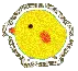 yellow bird
