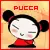 pucca