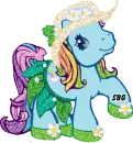 Hawaii Pony