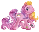 Rainbow Pony