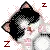 cute kitty