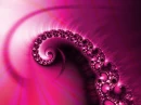 Pink Passion