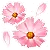mini flowers