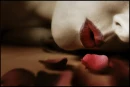 Lips and Rose