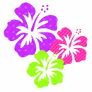 springy flowers