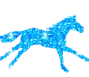 blue pony