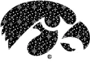 Iowa Hawkeyes