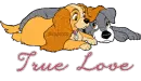 lady and tramp love