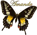 Butterfly Amanda
