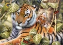 tigers