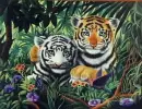 tigers 