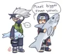 oh get it how irka means dolfin and itchs fish buddy?