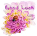 Good Luck Lady Bug