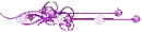 divider with many colors