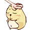 pet