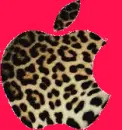 leopard apple