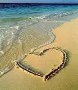 Love on the beach