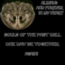 souls of the past