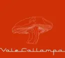 cafe tacuba
