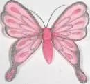pink butterfly