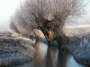 nature is ....wow....