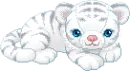 little tigre