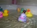 rubber duckies