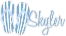 skyler