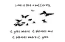 Love is like...